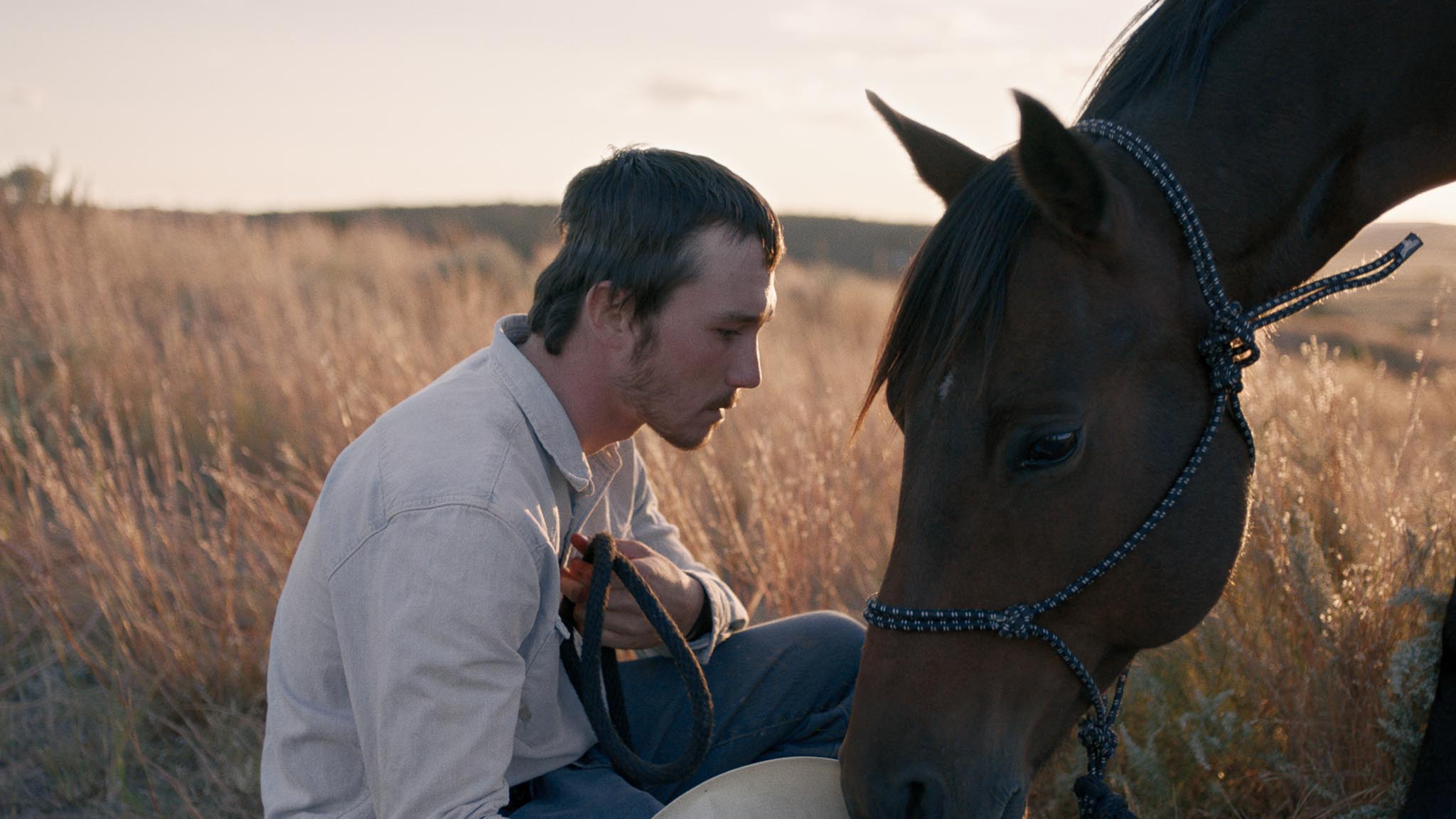 The Rider still (Sony Pictures Classics)