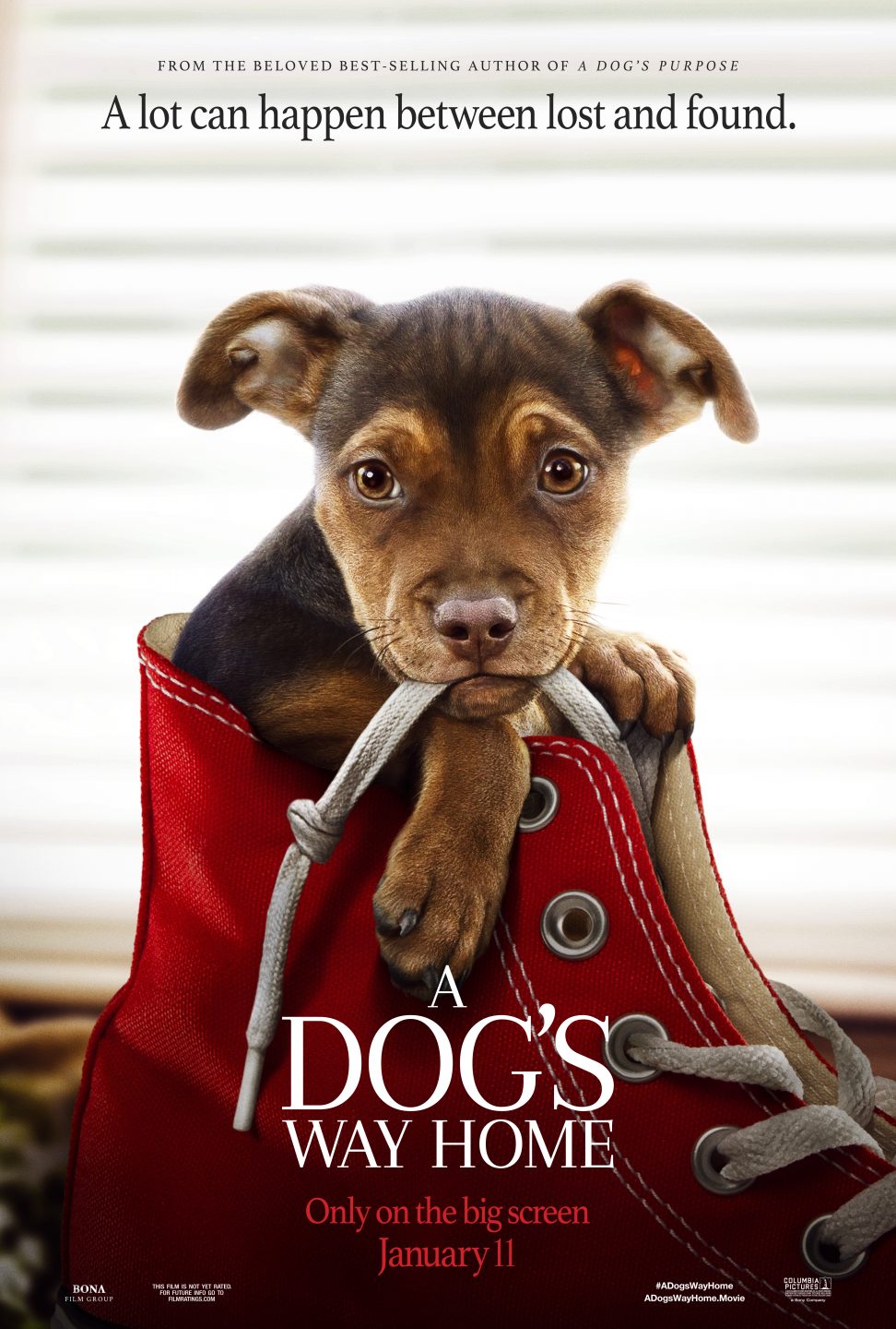 A Dog's Way Home poster (Sony Pictures)