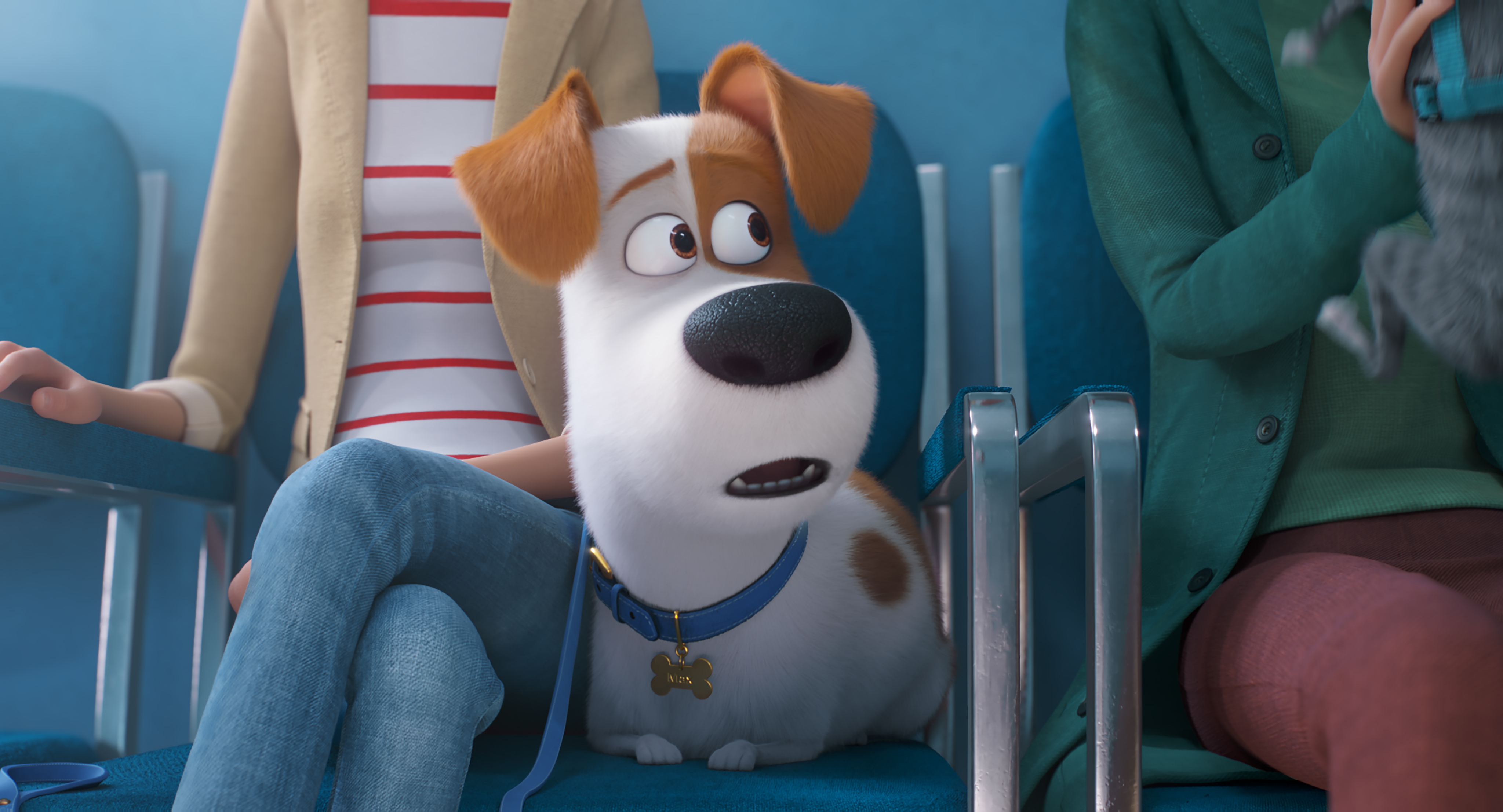 The Secret Life Of Pets 2 still (Universal Pictures)