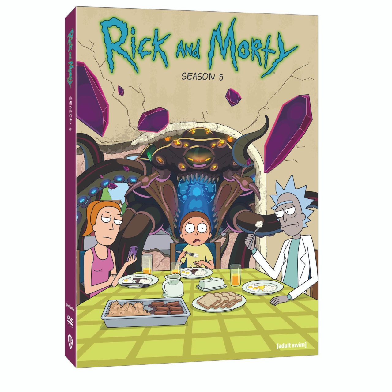 Rick And Morty: The Complete Fifth Season DVD cover (Warner Bros. Home Entertainment)