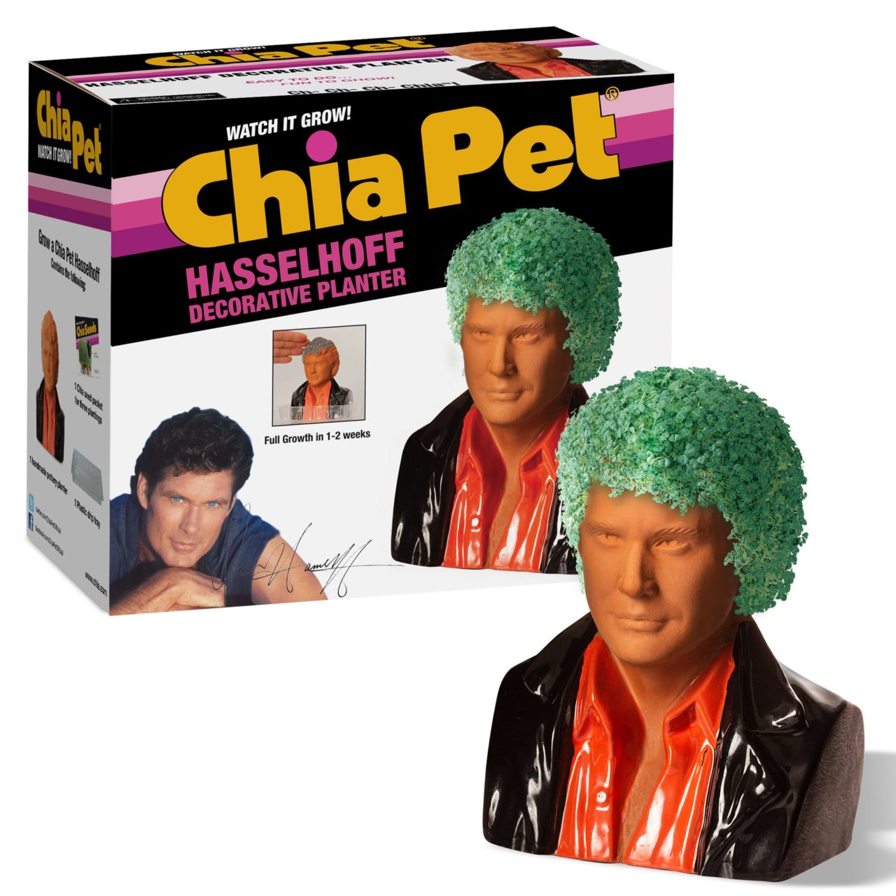 David Hasselhoff Product Image (Chia Pet)