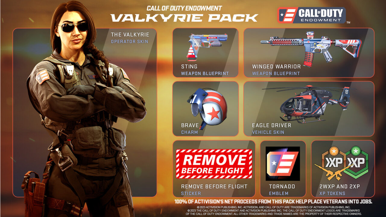 Call Of Duty Endowment Valkyrie Pack graphic (Activision)