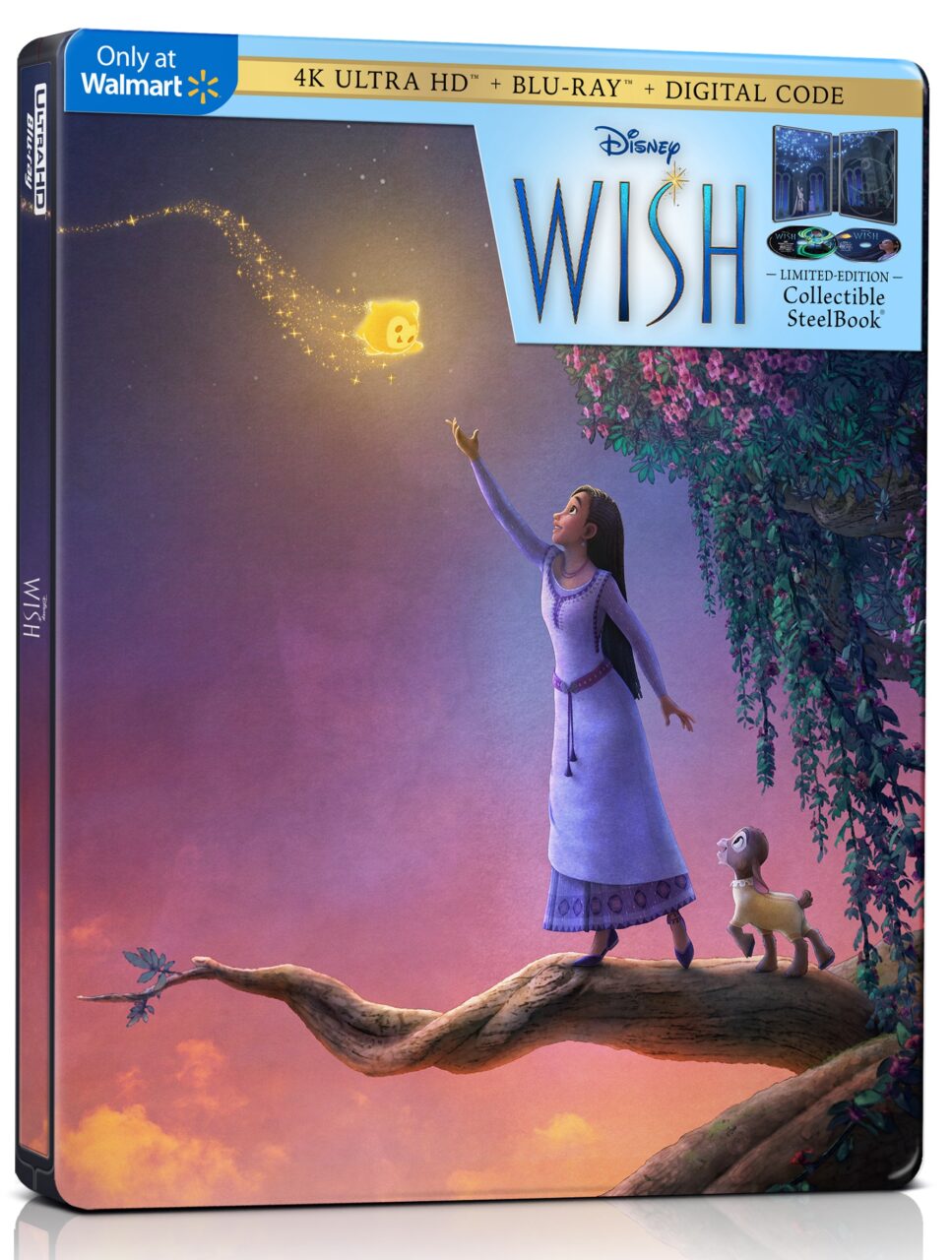 Wish 4K Ultra HD Combo Pack cover (Disney)