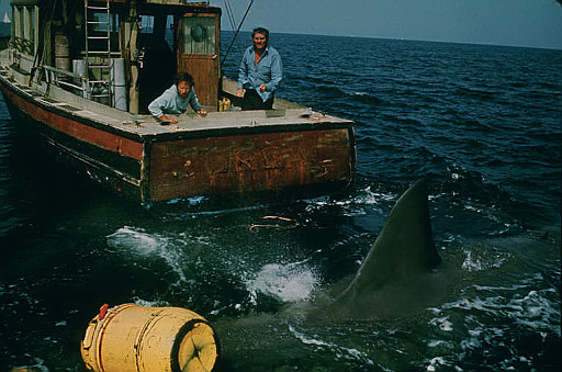 Jaws 50th Anniversary Edition still (Universal Pictures Home Entertainment)