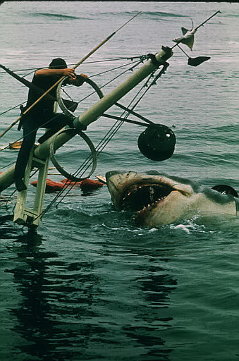 Jaws 50th Anniversary Edition still (Universal Pictures Home Entertainment)