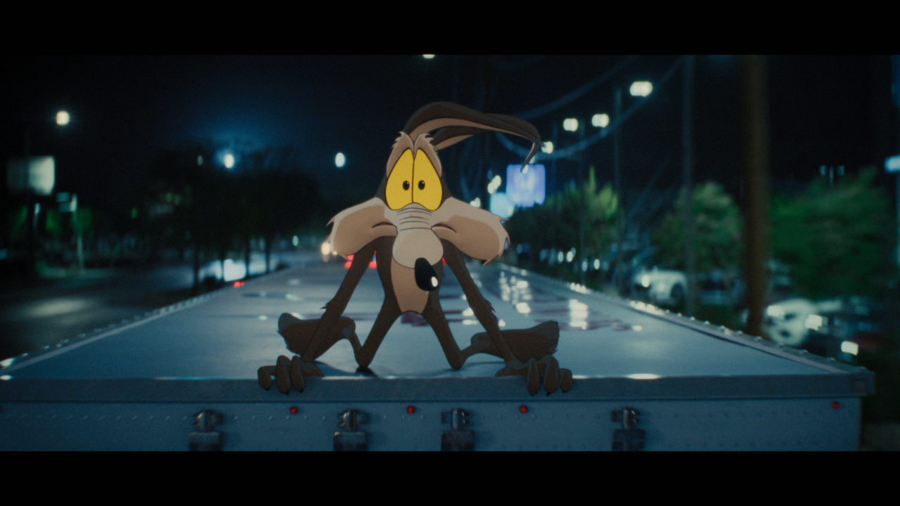 Coyote Vs. Acme still (Ketchup Entertainment)