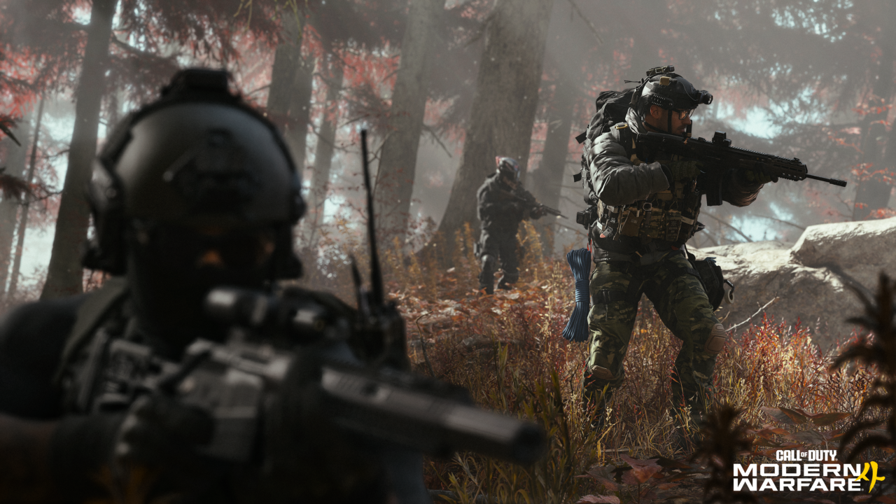 Call Of Duty: Modern Warfare 4 DMZ screenshot (Activision)