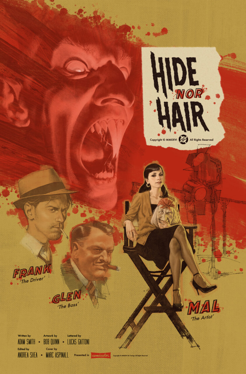 DC Vertigo Hide Nor Hair cover (Adam Smith & Bob Quinn)