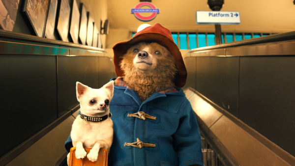 Paddington still (Lionsgate)