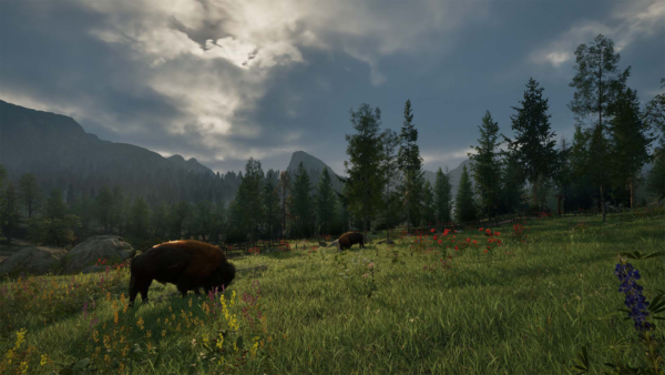Ranger's Path: National Park Simulator screencap
