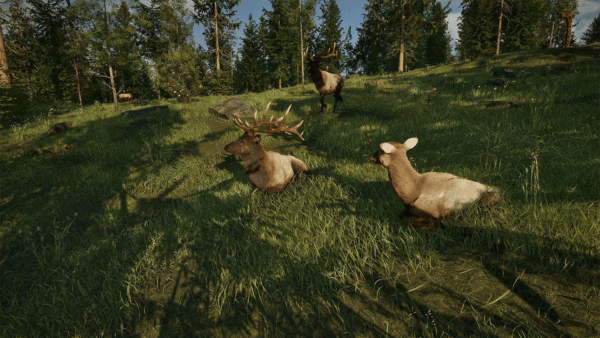Ranger's Path: National Park Simulator screencap